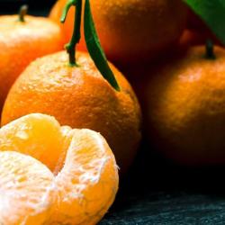 Jonathan pielmayer uipazkzjv64 unsplash